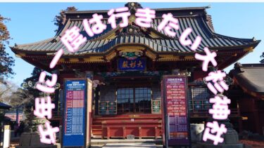 大杉神社はなぜ競馬ファンに人気？勝馬神社と夢むすびのご利益を解説